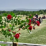 Zavicajna Kuca Sakota - Kozice *