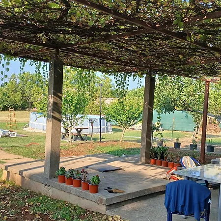 公寓 Zavicajna Kuca Sakota - Kozice *