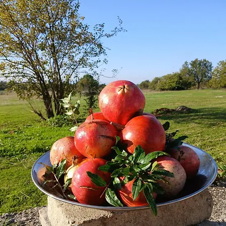 Apartament Zavicajna Kuca Sakota - Kozice