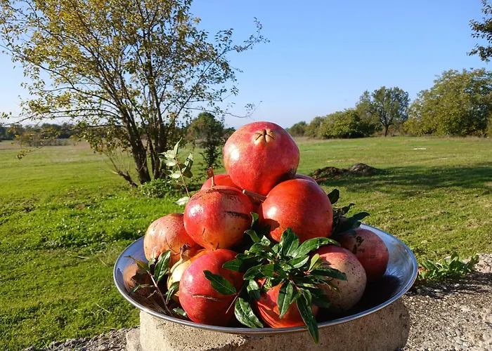 شقة Zavicajna Kuca Sakota - Kozice